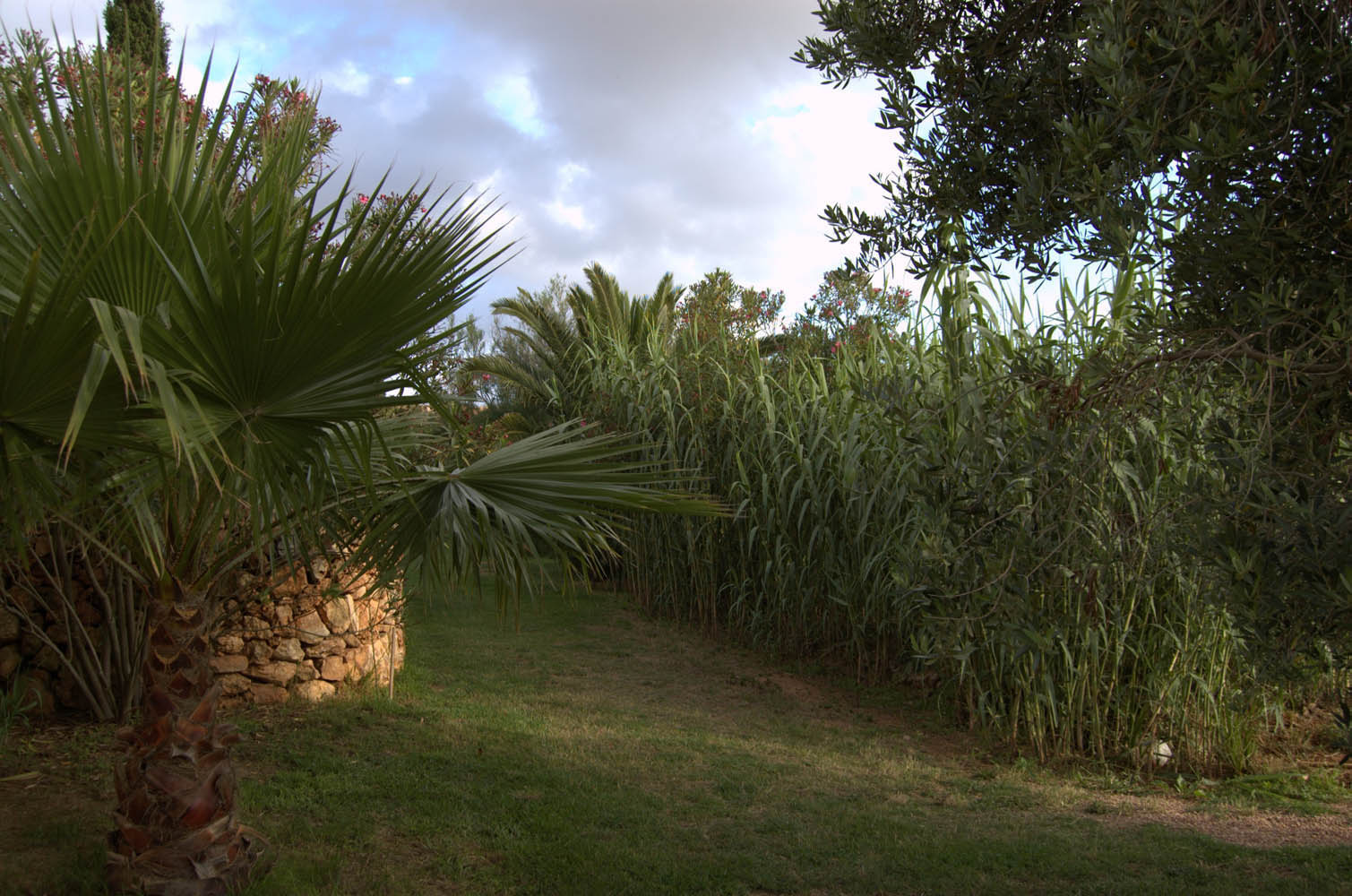 finca Urlaub Mallorca Haus vermieten Wohnung Bauernhof Palma Strand es trenc Schwimmbad Pferde sa rapita ses covetes Ferienvermietung Hochzeit Ferienvermietung Radfahren velo mallorca estrenc 