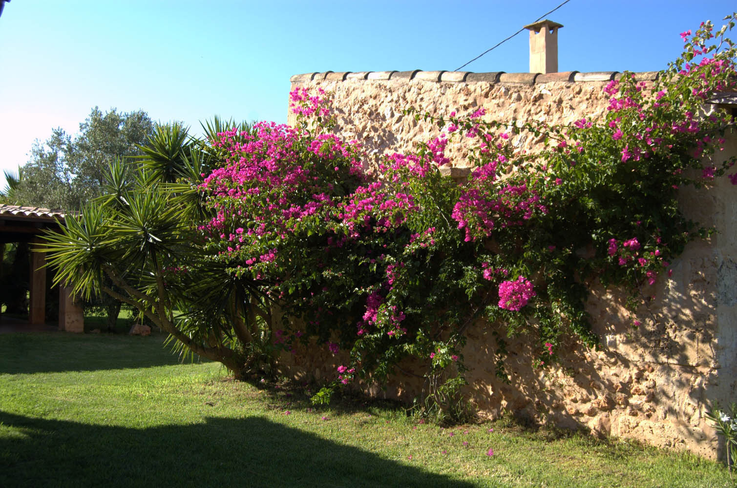 finca Urlaub Mallorca Haus vermieten Wohnung Bauernhof Palma Strand es trenc Schwimmbad Pferde sa rapita ses covetes Ferienvermietung Hochzeit Ferienvermietung Radfahren velo mallorca estrenc 005 