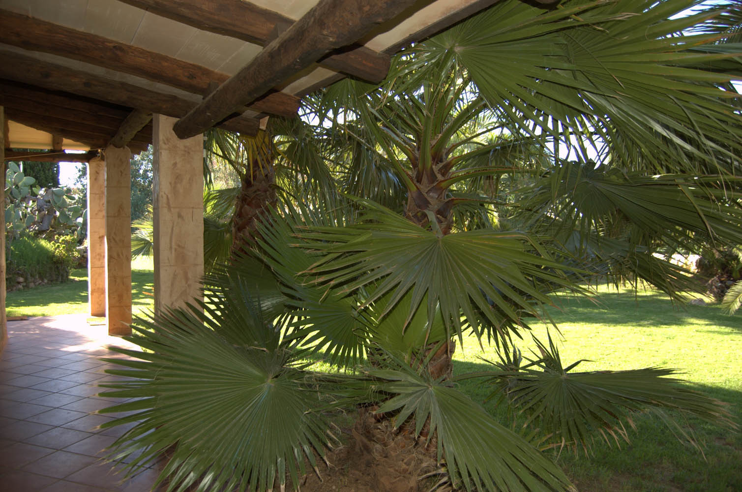 finca Urlaub Mallorca Haus vermieten Wohnung Bauernhof Palma Strand es trenc Schwimmbad Pferde sa rapita ses covetes Ferienvermietung Hochzeit Ferienvermietung Radfahren velo mallorca estrenc 011 