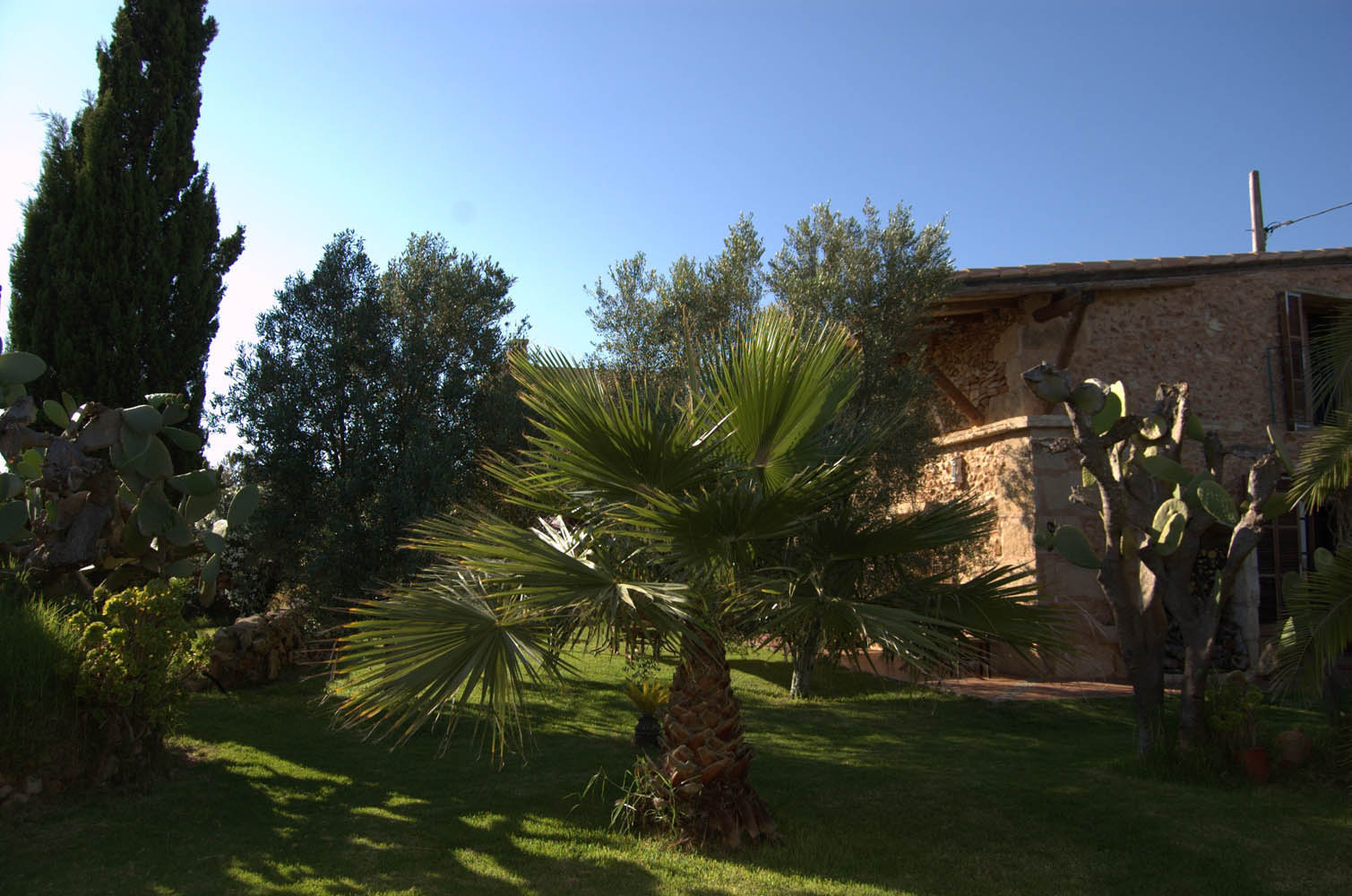 finca Urlaub Mallorca Haus vermieten Wohnung Bauernhof Palma Strand es trenc Schwimmbad Pferde sa rapita ses covetes Ferienvermietung Hochzeit Ferienvermietung Radfahren velo mallorca estrenc 014 