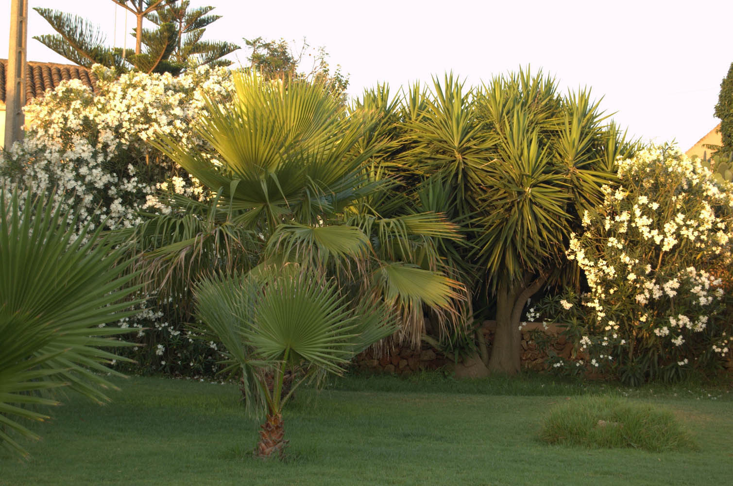 finca Urlaub Mallorca Haus vermieten Wohnung Bauernhof Palma Strand es trenc Schwimmbad Pferde sa rapita ses covetes Ferienvermietung Hochzeit Ferienvermietung Radfahren velo mallorca estrenc 023 