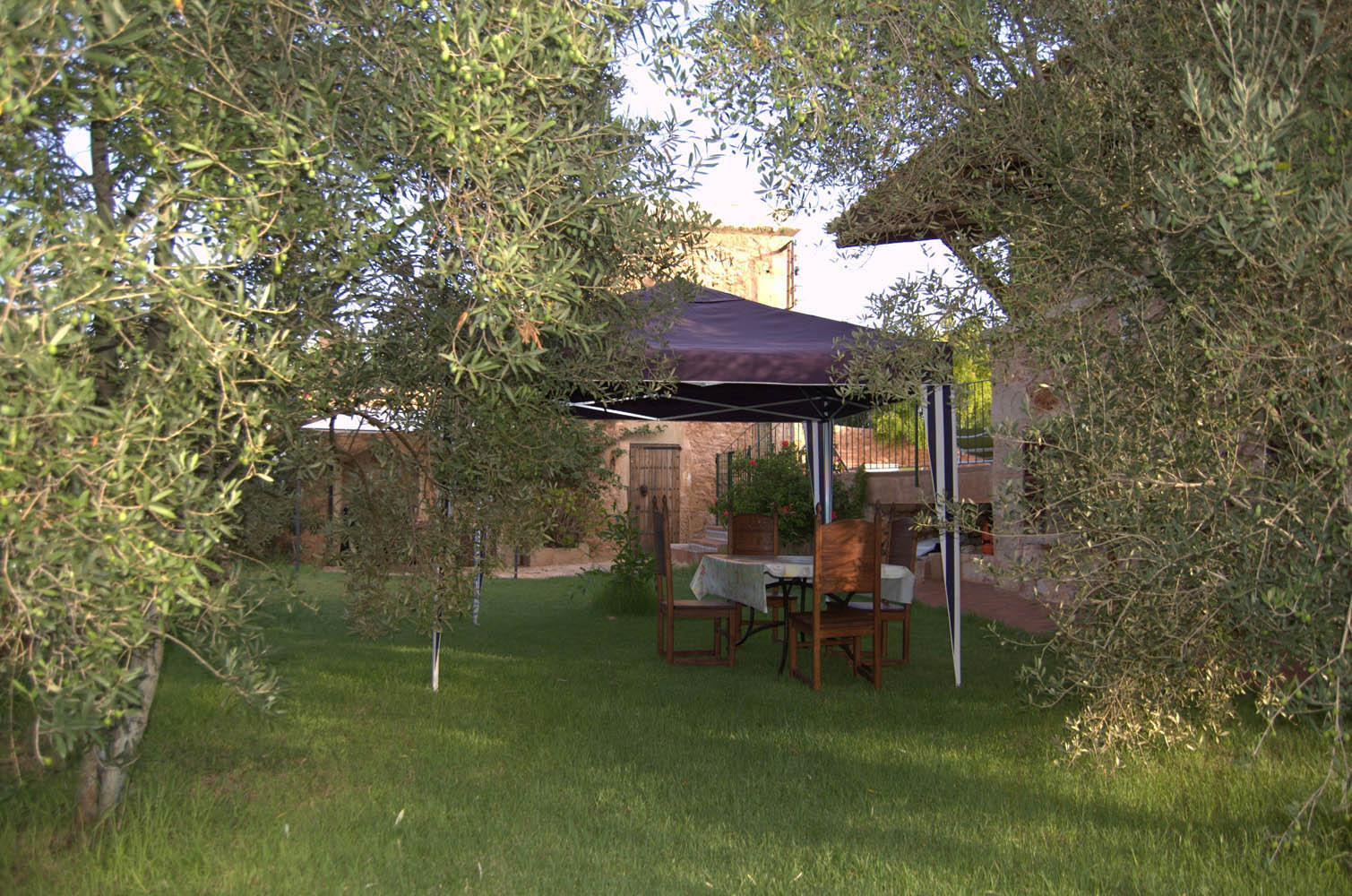 finca Urlaub Mallorca Haus vermieten Wohnung Bauernhof Palma Strand es trenc Schwimmbad Pferde sa rapita ses covetes Ferienvermietung Hochzeit Ferienvermietung Radfahren velo mallorca estrenc 040 