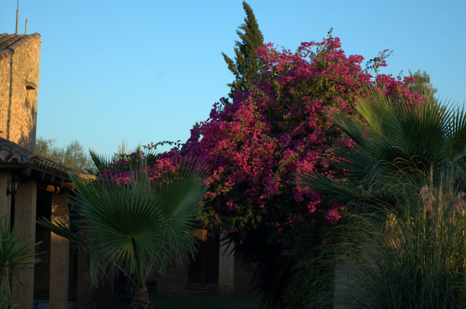 finca Urlaub Mallorca Haus vermieten Wohnung Bauernhof Palma Strand es trenc Schwimmbad Pferde sa rapita ses covetes Ferienvermietung Hochzeit Ferienvermietung Radfahren velo mallorca estrenc 056 