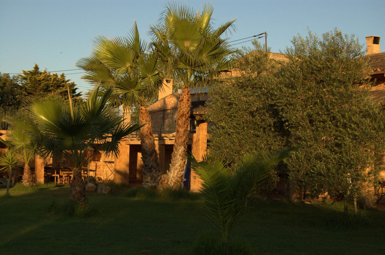 finca Urlaub Mallorca Haus vermieten Wohnung Bauernhof Palma Strand es trenc Schwimmbad Pferde sa rapita ses covetes Ferienvermietung Hochzeit Ferienvermietung Radfahren velo mallorca estrenc 060 