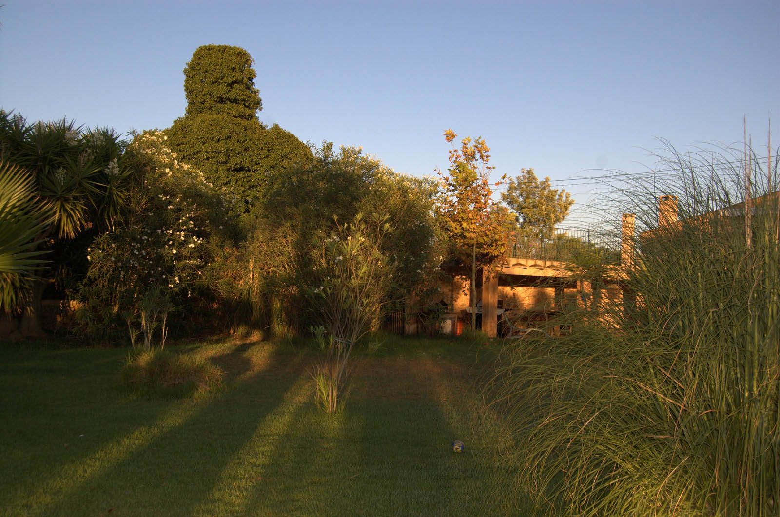 finca Urlaub Mallorca Haus vermieten Wohnung Bauernhof Palma Strand es trenc Schwimmbad Pferde sa rapita ses covetes Ferienvermietung Hochzeit Ferienvermietung Radfahren velo mallorca estrenc 063 