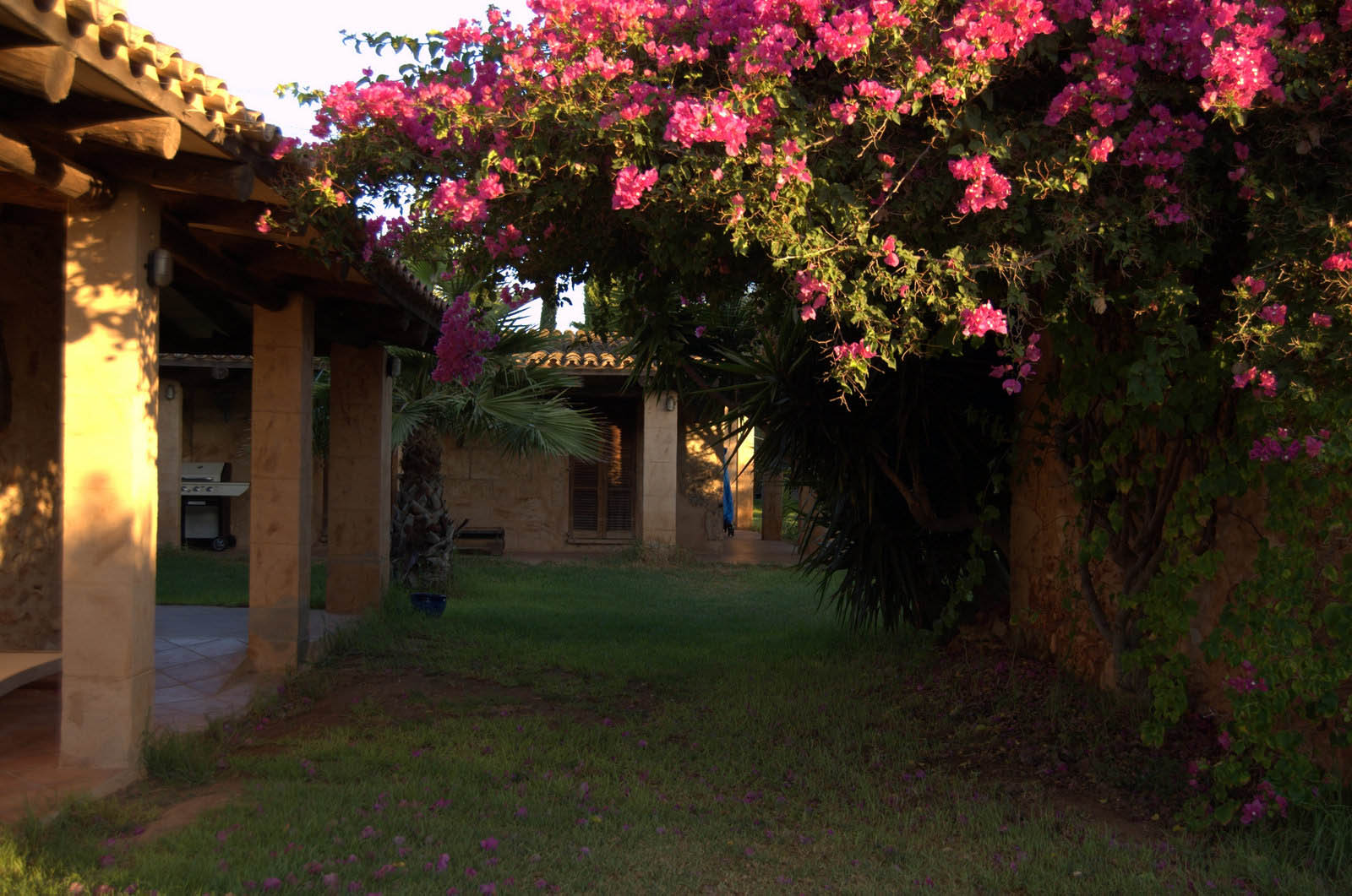 finca Urlaub Mallorca Haus vermieten Wohnung Bauernhof Palma Strand es trenc Schwimmbad Pferde sa rapita ses covetes Ferienvermietung Hochzeit Ferienvermietung Radfahren velo mallorca estrenc 065 