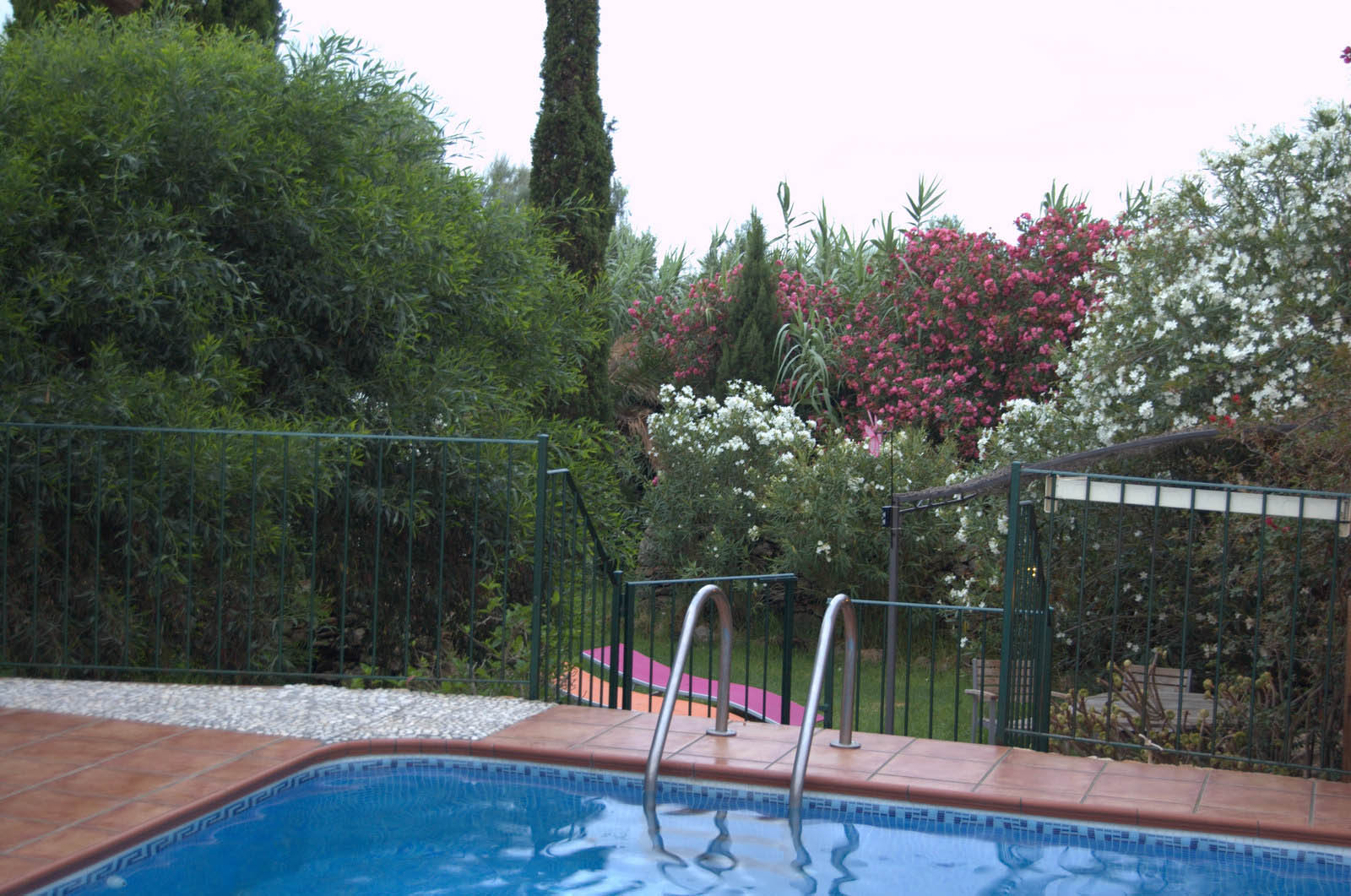 mallorca house apartment Palma Beach es trenc swimming pool horses animals sa rapita ses covetes Finca holiday renting lettings property rent Events seminar cycling pool 015 