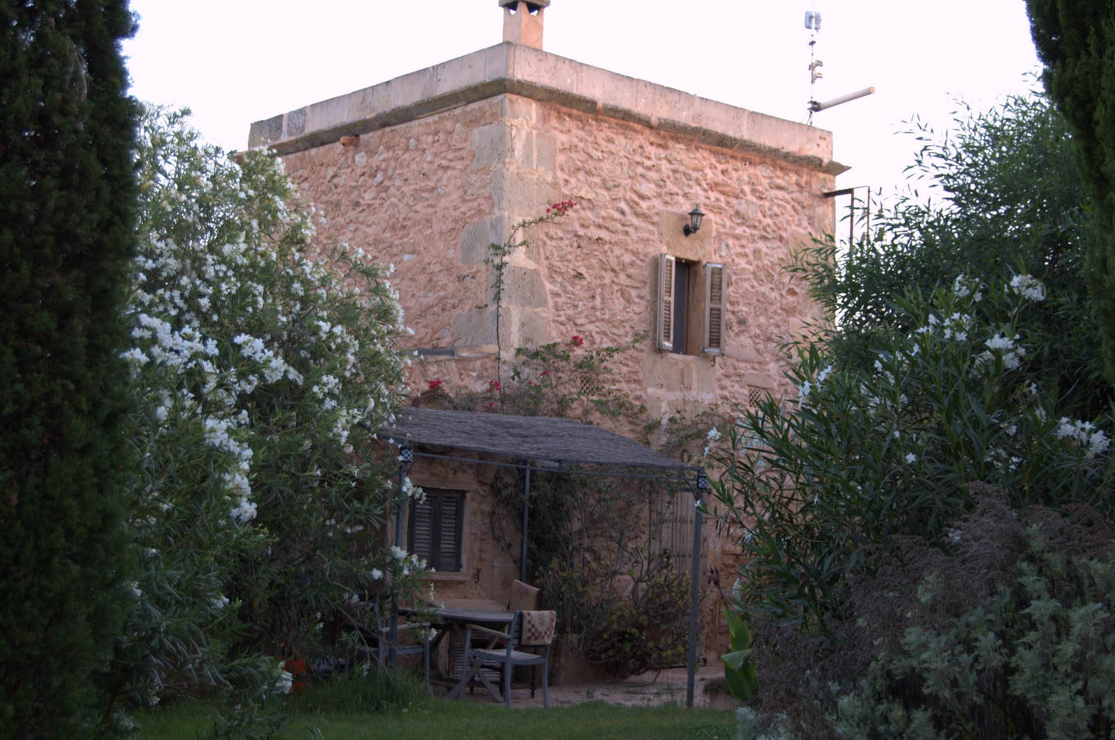 mallorca house apartment Palma Beach es trenc swimming pool horses animals sa rapita ses covetes Finca holiday renting lettings property rent Events seminar cycling 100  