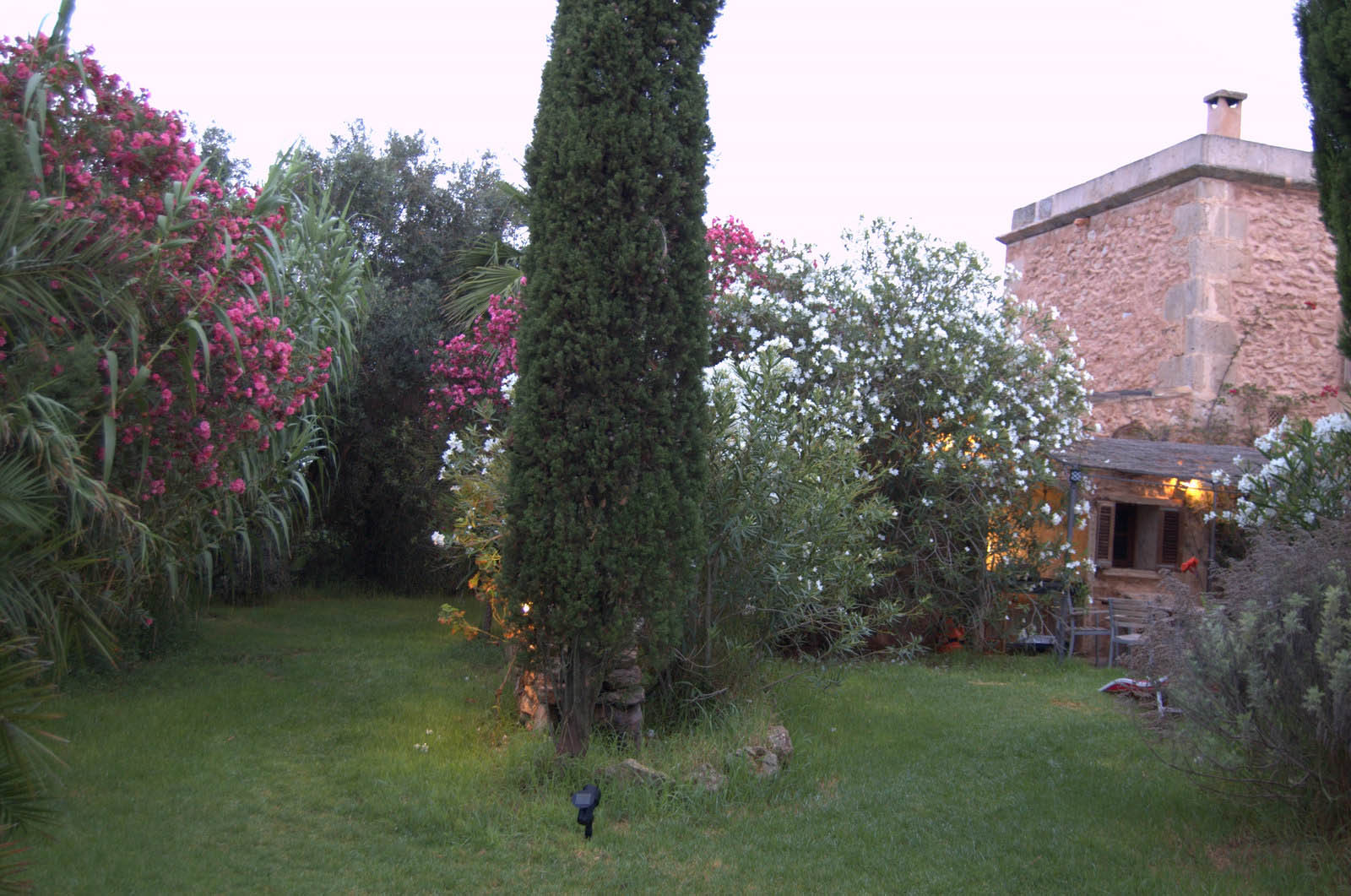 mallorca house apartment Palma Beach es trenc swimming pool horses animals sa rapita ses covetes Finca holiday renting lettings property rent Events seminar cycling 109  