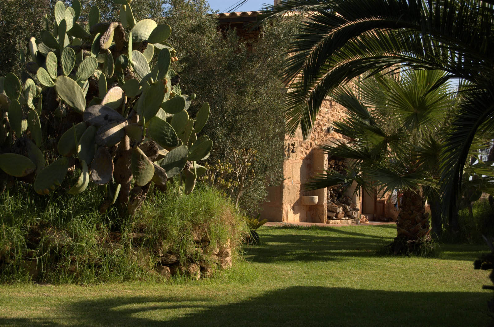 mallorca house apartment Palma Beach es trenc swimming pool horses animals sa rapita ses covetes Finca holiday renting lettings property rent Events seminar cycling 240  