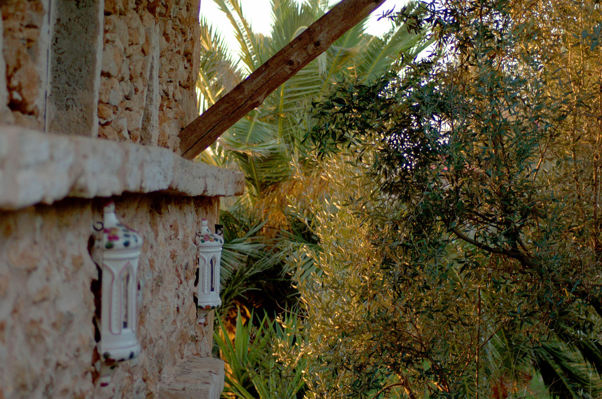 mallorca house apartment Palma Beach es trenc swimming pool horses animals sa rapita ses covetes Finca holiday renting lettings property rent Events seminar cycling 280  