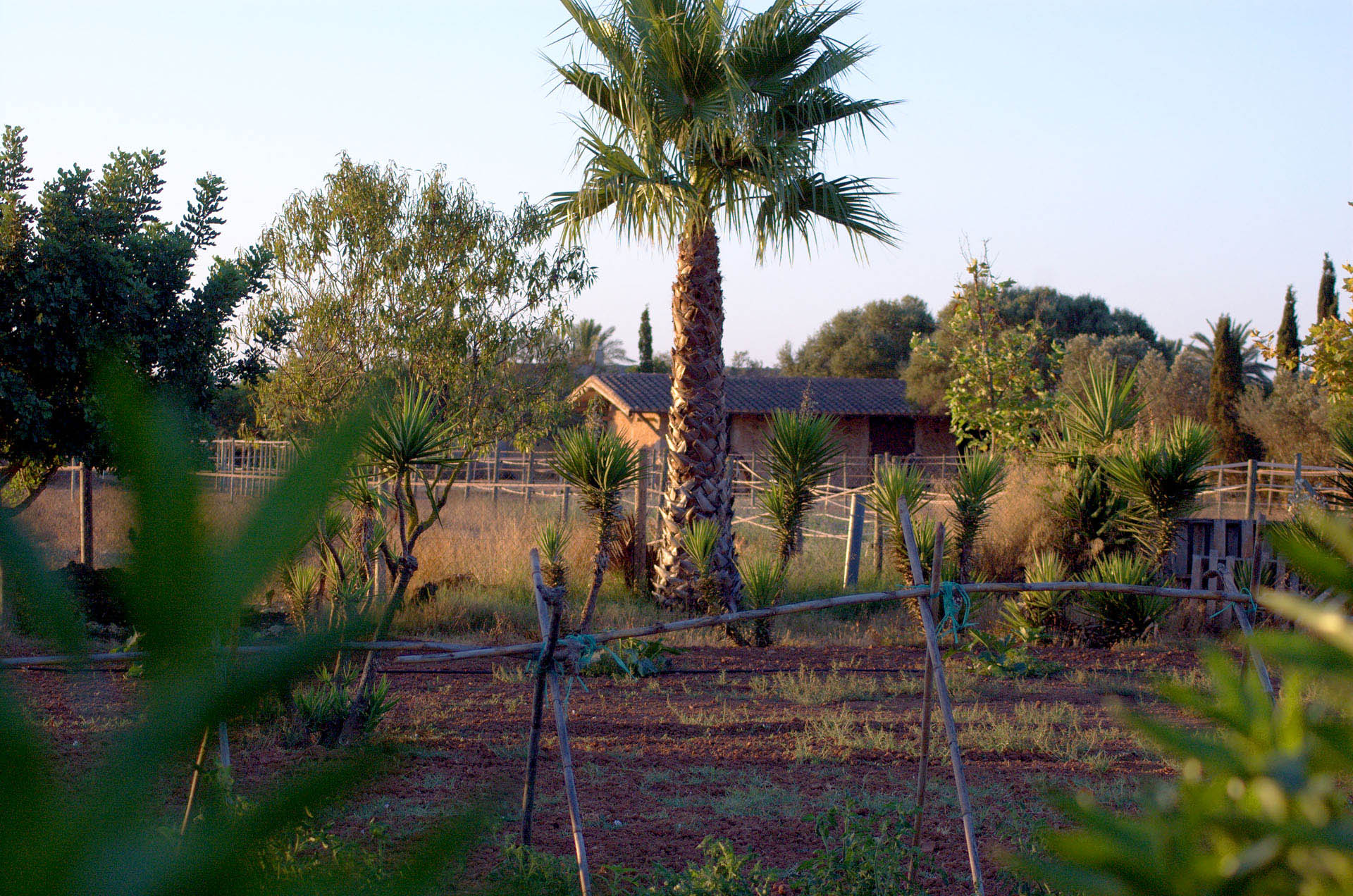 mallorca house apartment Palma Beach es trenc swimming pool horses animals sa rapita ses covetes Finca holiday renting lettings property rent Events seminar cycling 30  