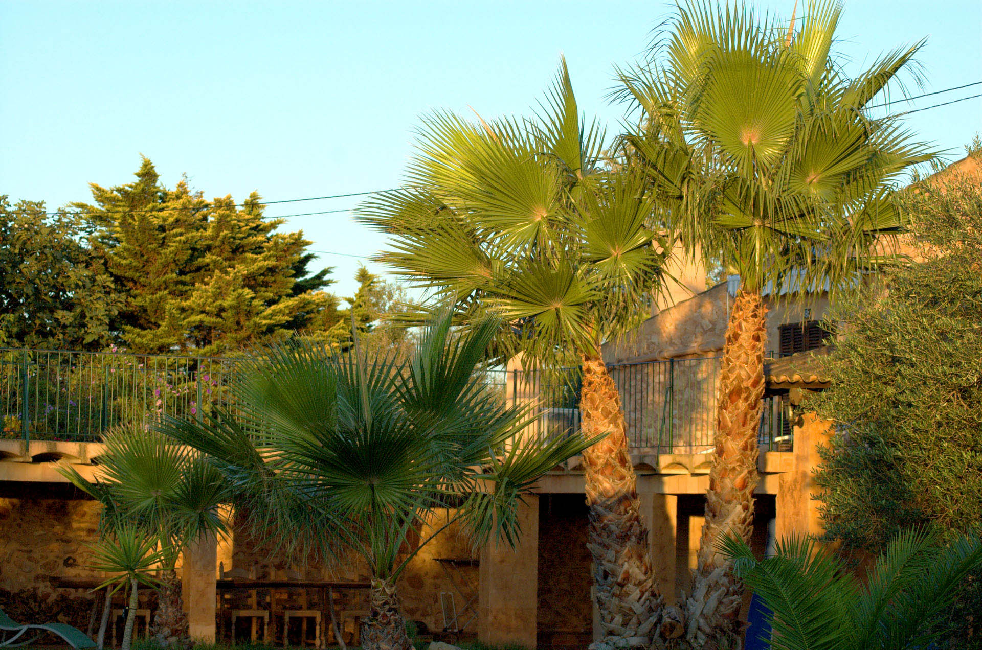 mallorca house apartment Palma Beach es trenc swimming pool horses animals sa rapita ses covetes Finca holiday renting lettings property rent Events seminar cycling 300  