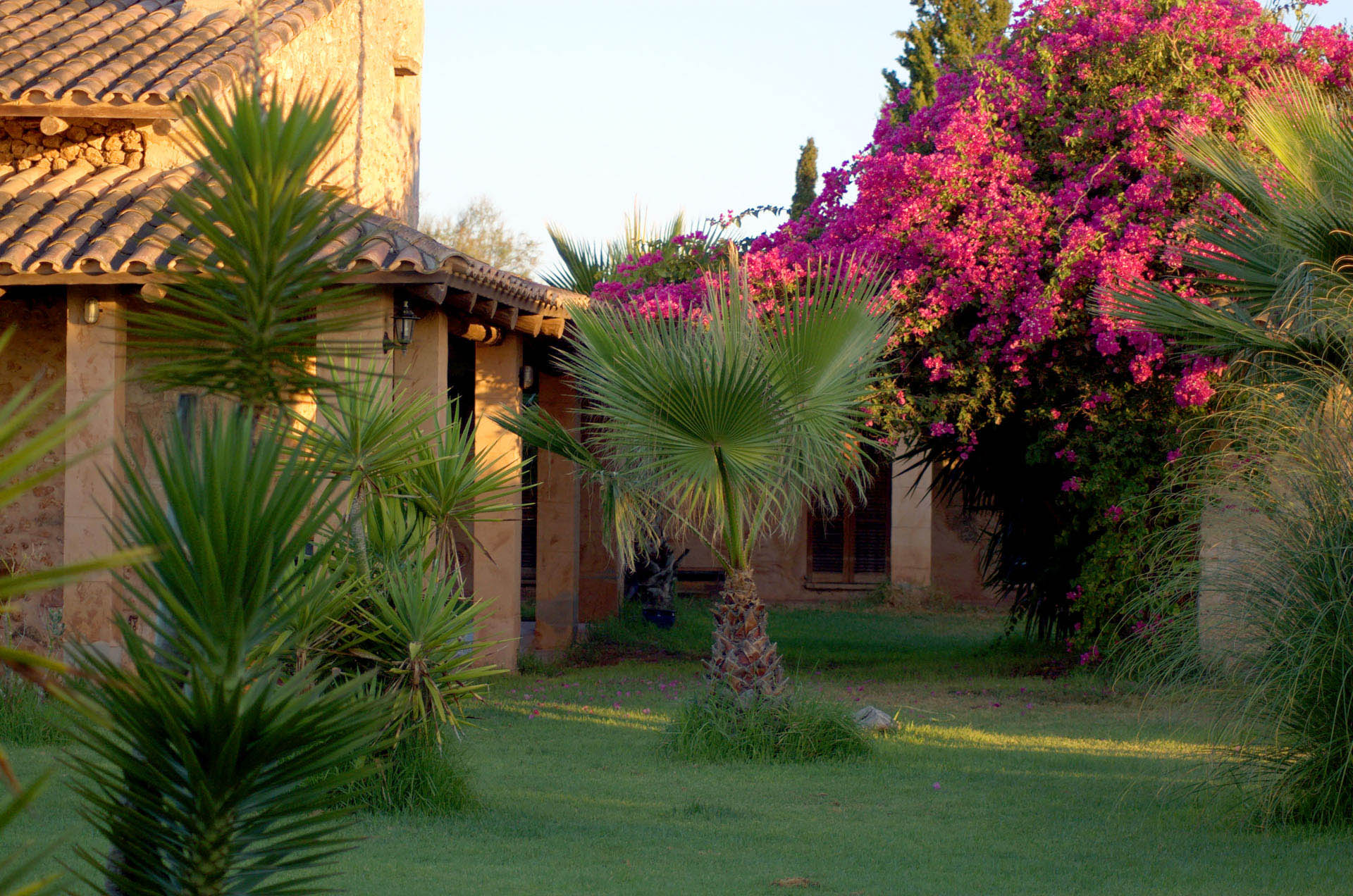 mallorca house apartment Palma Beach es trenc swimming pool horses animals sa rapita ses covetes Finca holiday renting lettings property rent Events seminar cycling 320  