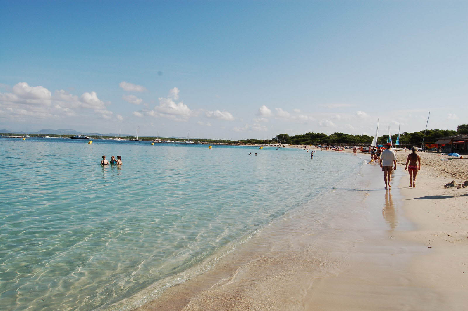 mallorca house apartment Palma Beach es trenc swimming pool horses animals sa rapita ses covetes Finca holiday renting lettings property rent Events seminar cycling 420  