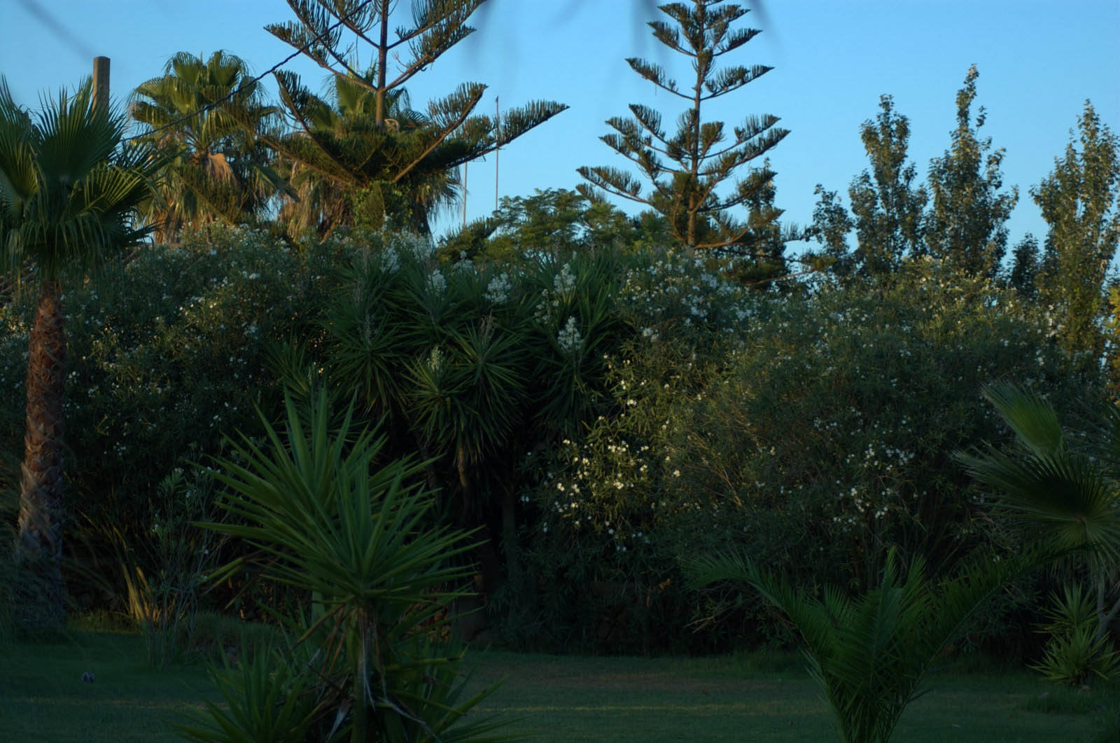 palma majorque mallorca plage es trenc logement a la ferme sa rapita ses covetes finca piscine location vacances propriete a louer event seminaire reunion golfe mariage stage velo chevaux estrenc 054 