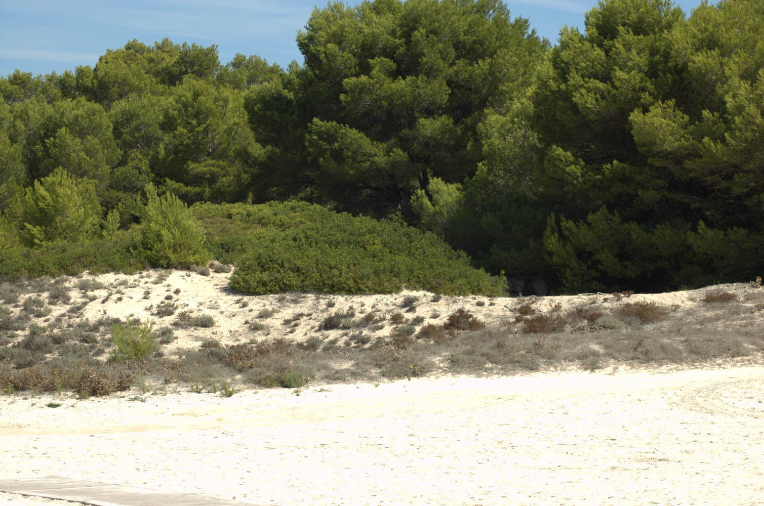 es trenc beach estrenc plage spiaggia strand playa es trenc ranta es trenc -015 