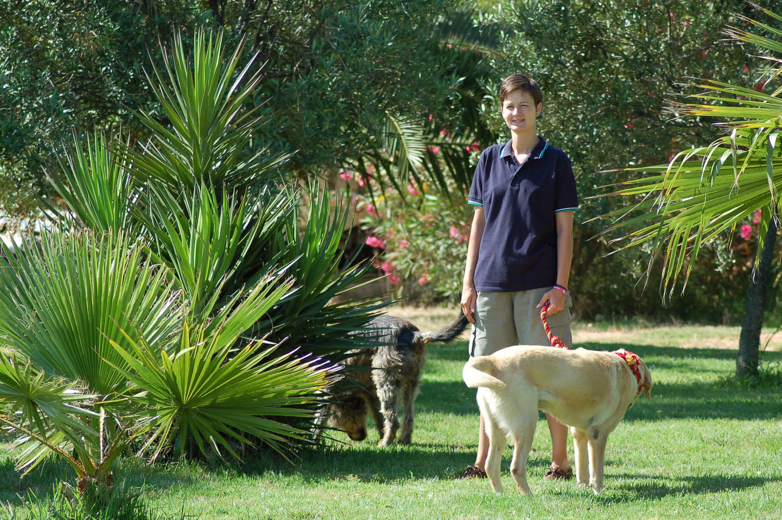 Maiorca Mallorca spiaggia Es Trenc casa locazione appartamento abitazioni Palma piscina Sa Rapita SesCovetes finca case vacanze proprieta inaffitto cyclo percorso ciclistico tour estrenc 004 
