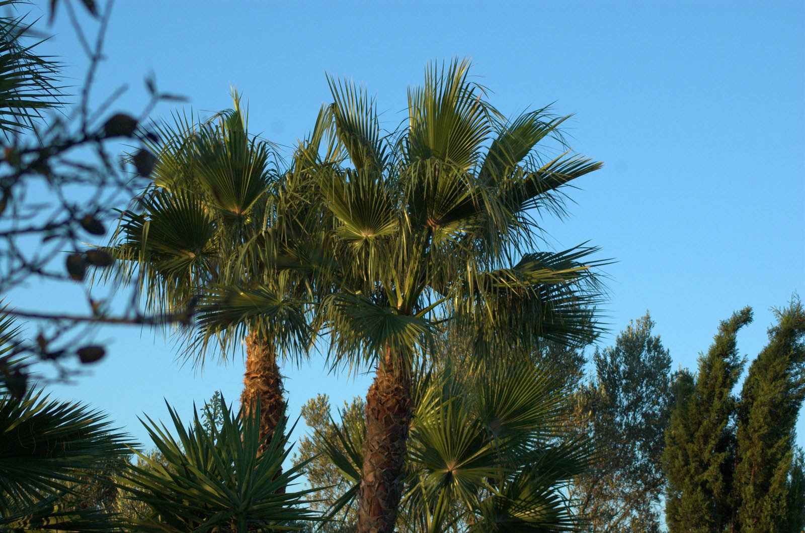 palma mallorca es Trenc strand vakantiewoningen huis villa boerenwoning appartement huisvesting pool Sa Rapita Ses Covetes finca evenementen plattelandstoerisme huwelijk wielersport fietstraining estrenc-055 