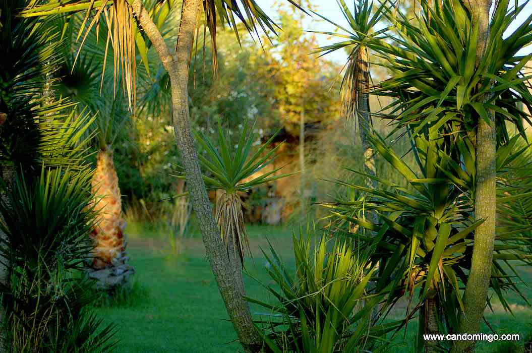 finca-Urlaub-Mallorca-Haus-vermieten-Wohnung-Bauernhof-Palma-Strand-es-trenc-Schwimmbad-Pferde-sa-rapita-ses-covetes-Ferienvermietung-Hochzeit-Ferienvermietung-Radfahren-velo-mallorca-bh034