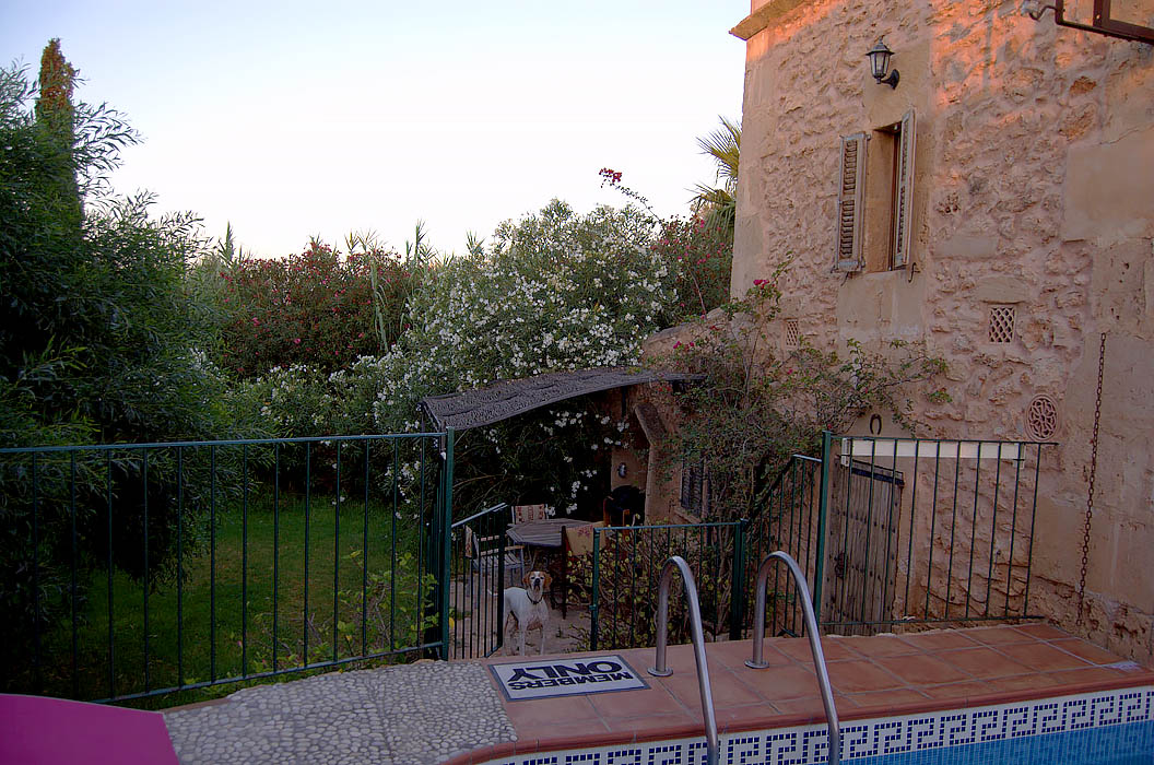 finca-Urlaub-Mallorca-Haus-vermieten-Wohnung-Bauernhof-Palma-Strand-es-trenc-Schwimmbad-Pferde-sa-rapita-ses-covetes-Ferienvermietung-Hochzeit-Ferienvermietung-Radfahren-velo-mallorca-18