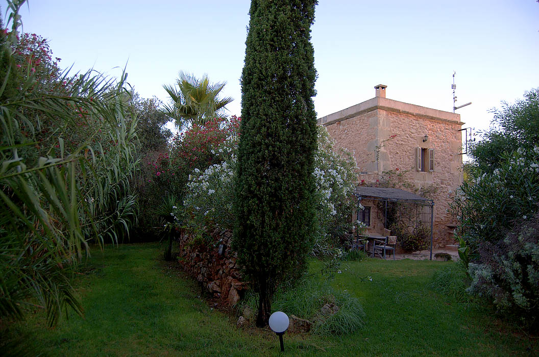 finca-Urlaub-Mallorca-Haus-vermieten-Wohnung-Bauernhof-Palma-Strand-es-trenc-Schwimmbad-Pferde-sa-rapita-ses-covetes-Ferienvermietung-Hochzeit-Ferienvermietung-Radfahren-velo-mallorca-20