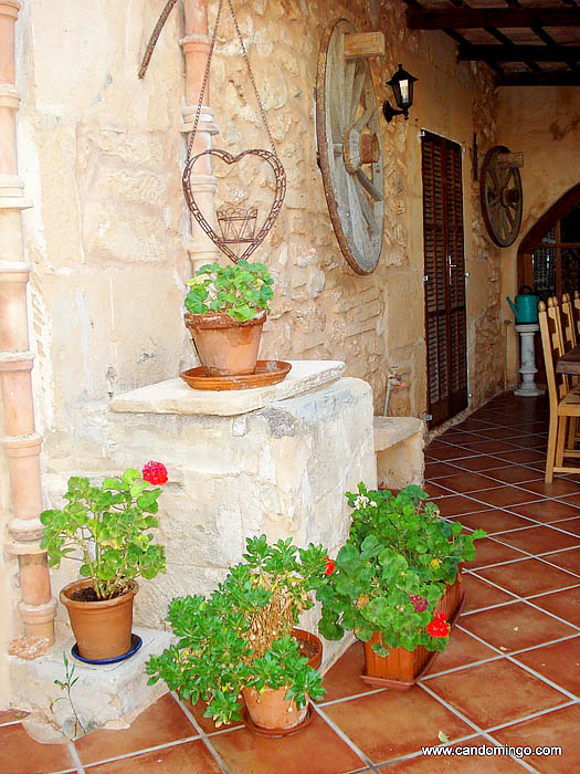 casa-apartamento-vivienda-Palma-Mallorca-playa-de-es-Trenc-piscina-animales-sa-rapita-Ses-Covetes-finca-Alquiler-vacaciones-mansion-en-alquiler-evento-seminario-vacacional-ciclo-bv003