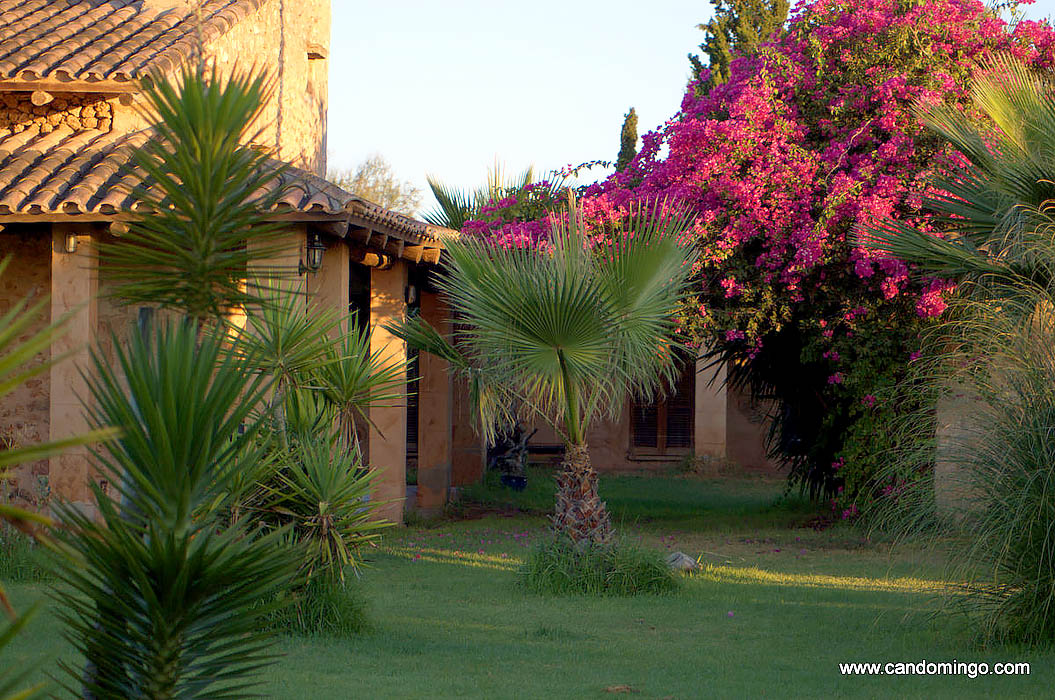 casa-apartamento-vivienda-Palma-Mallorca-playa-de-es-Trenc-piscina-animales-sa-rapita-Ses-Covetes-finca-Alquiler-vacaciones-mansion-en-alquiler-evento-seminario-vacacional-ciclo-w020