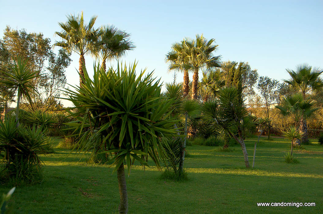 casa-locazione-appartamento-abitazioni-Palma-Maiorca-Mallorca-spiaggia-Es-Trenc-piscina-Sa Rapita-Ses Covetes-finca-case-vacanze-proprieta-in affitto-cyclo-percorso-ciclistico-tour-a014