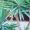 finca-Urlaub-Mallorca-Haus-vermieten-Wohnung-Bauernhof-Palma-Strand-es-trenc-Schwimmbad-Pferde-sa-rapita-ses-covetes-Ferienvermietung-Hochzeit-Ferienvermietung-Radfahren-velo-mallorca-ruva0001